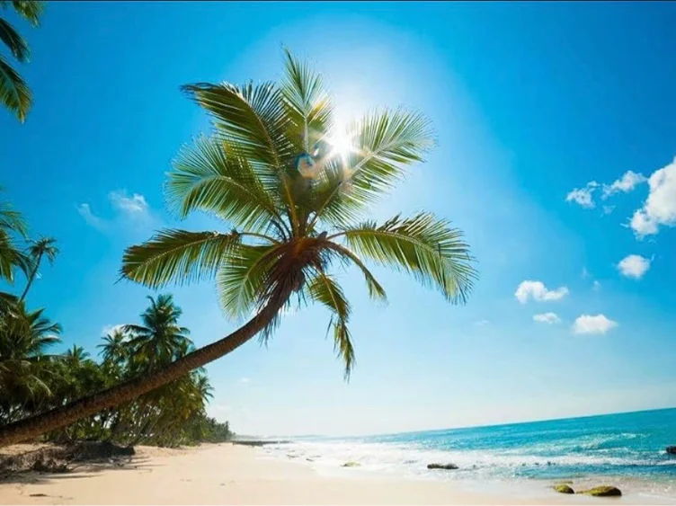 Beach please! 🌊 travel