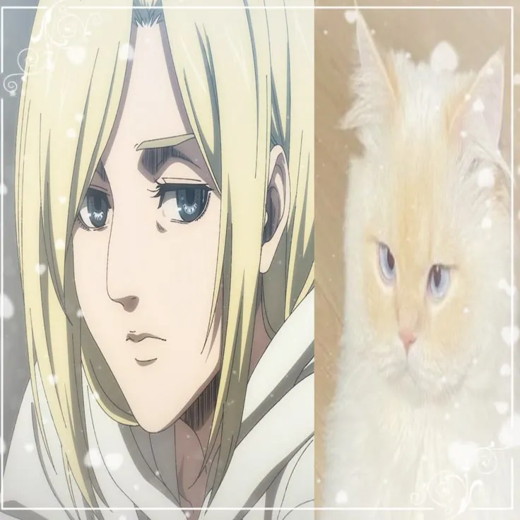 My cats!ᡣ𐭩