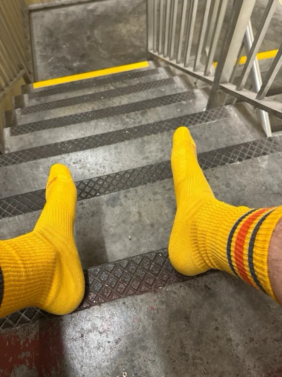 Fresh Socks for Those Hooves 🧦