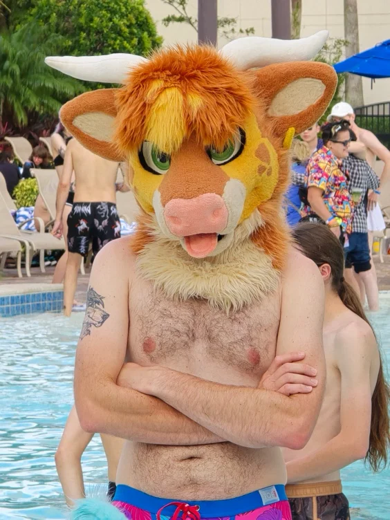 Pool Time for Your Bull 🏊
