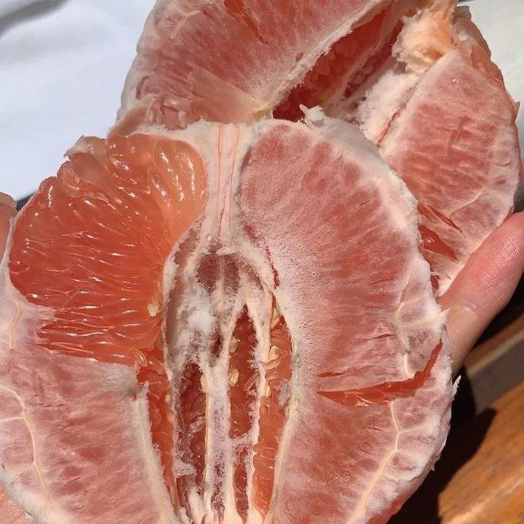 'MacBook Replacement Fund!'