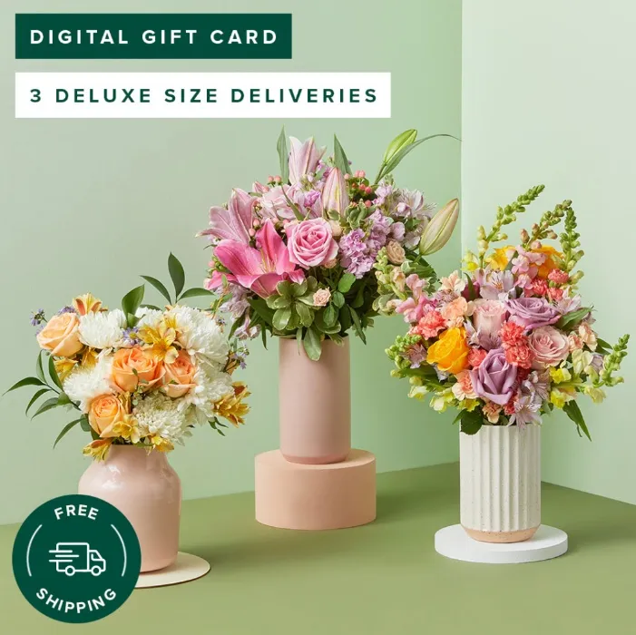 3 Months of Flowers | Bouqs eGift Subscription