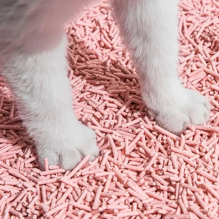 Mr. S’s Zen Garden