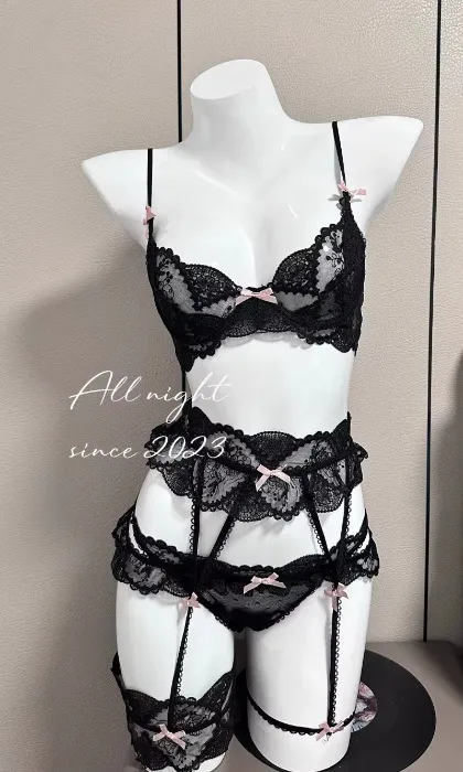  Lace Embroidered Set Lingerie Set Small Chest and Panty with Garter Set