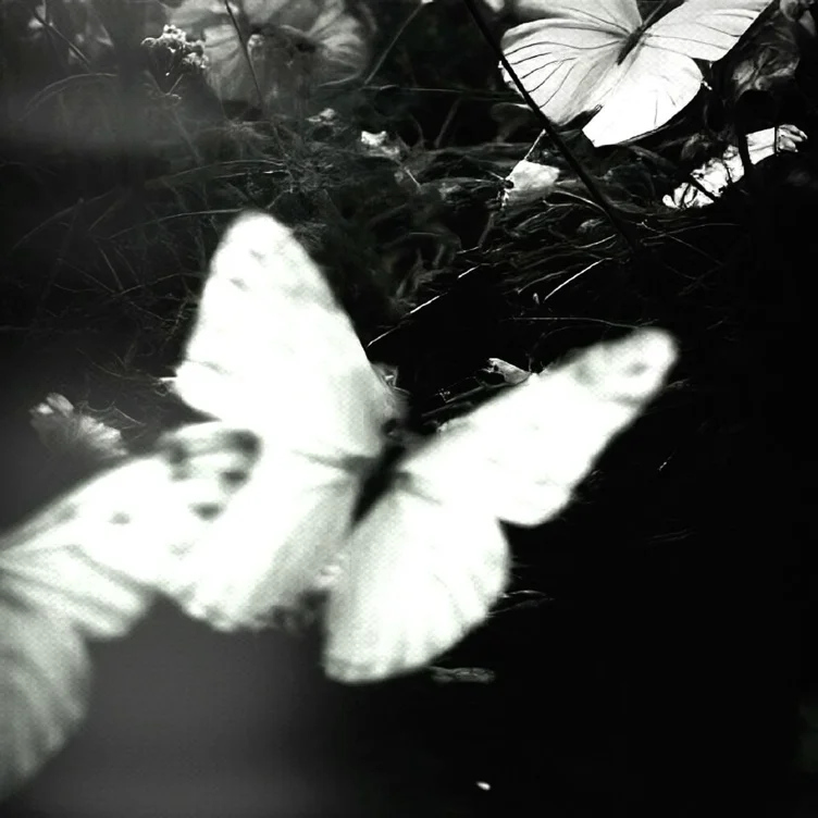 To make my heart flutter ♡