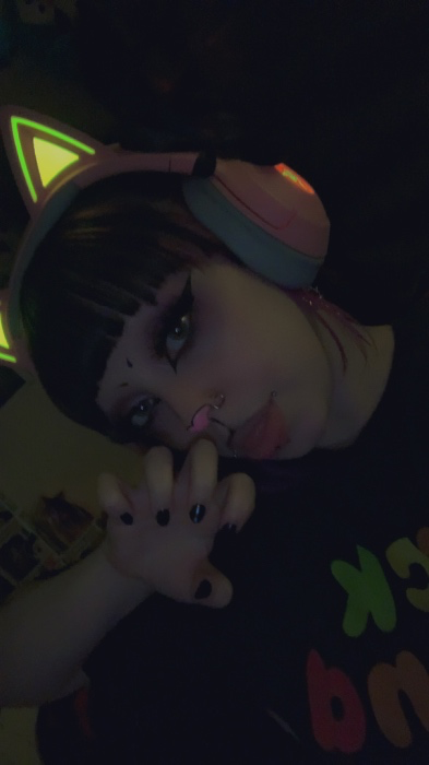 OW Premium Battlepass 