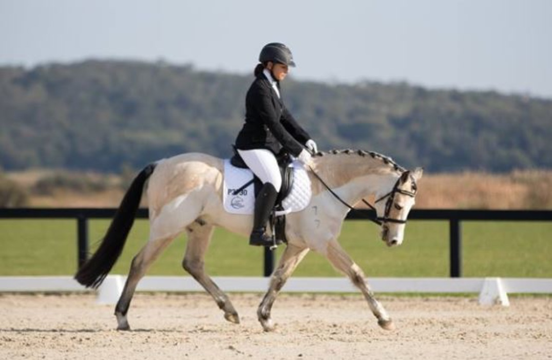 Horse riding lesson