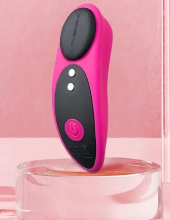 Ferry Panty Vibrator 🤯