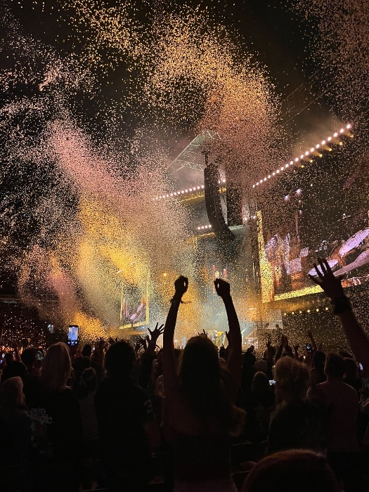 concert night 