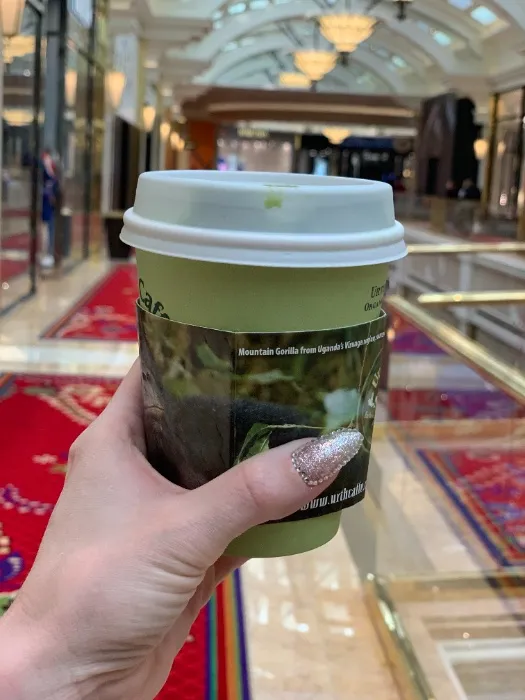 ♡ 𝐷𝑎𝑖𝑙𝑦 𝑀𝑜𝑟𝑛𝑖𝑛𝑔 𝑀𝑎𝑡𝑐ℎ𝑎