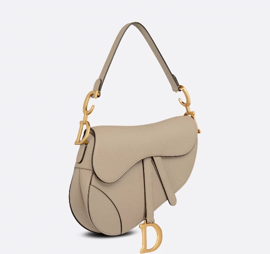 Dior saddle bag