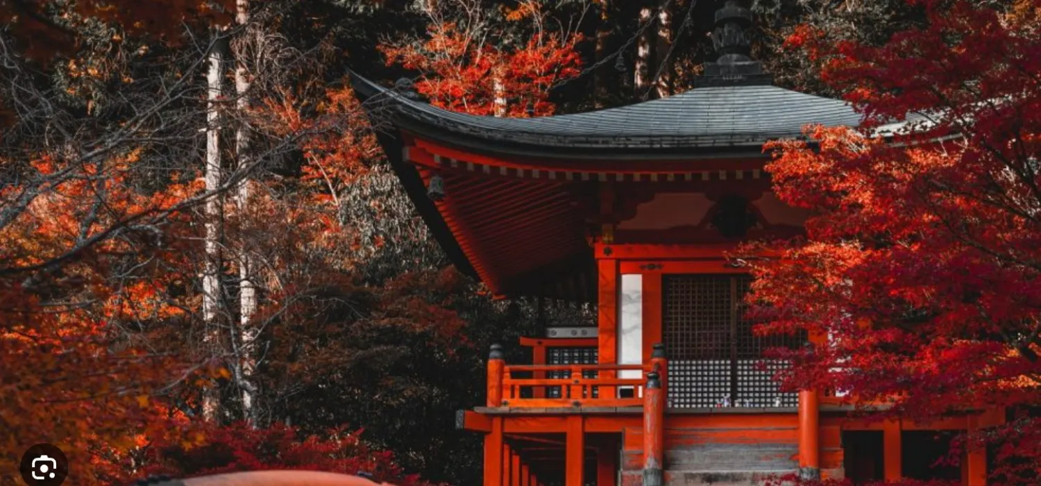 Japen trip