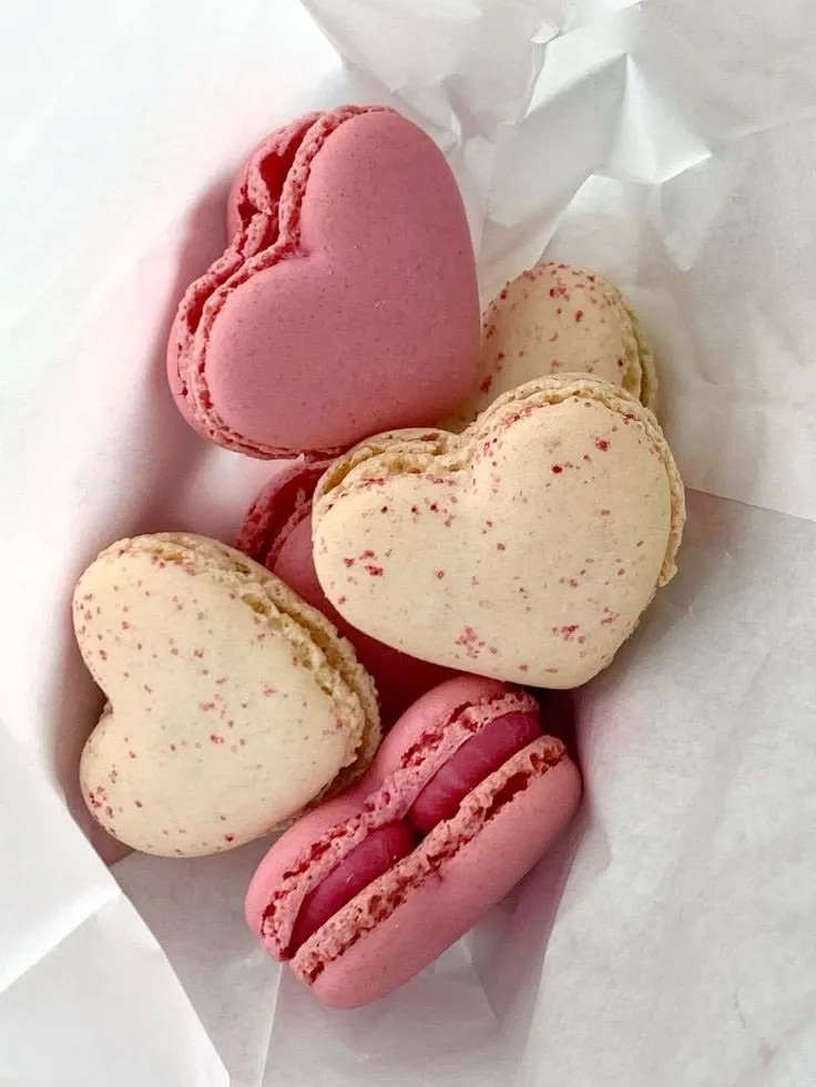 A Little Treat
