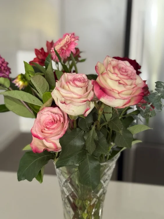 Fresh pink roses 🌷