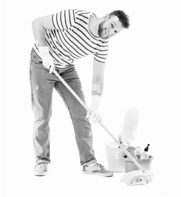 Clean my house