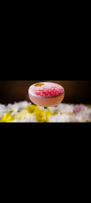 Cocktails 🍹