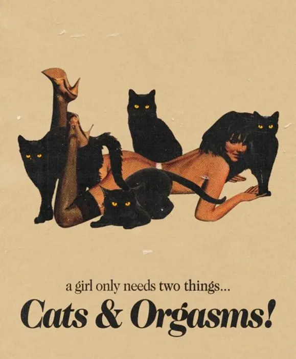 kitten adoption fund