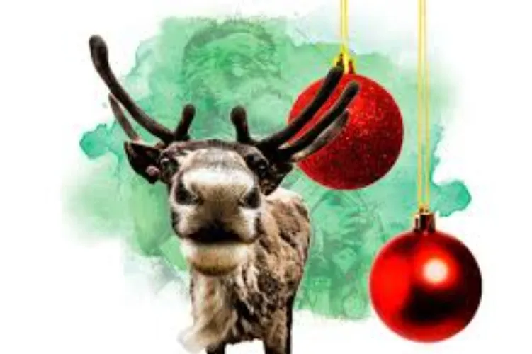 Merry Christmas Gift