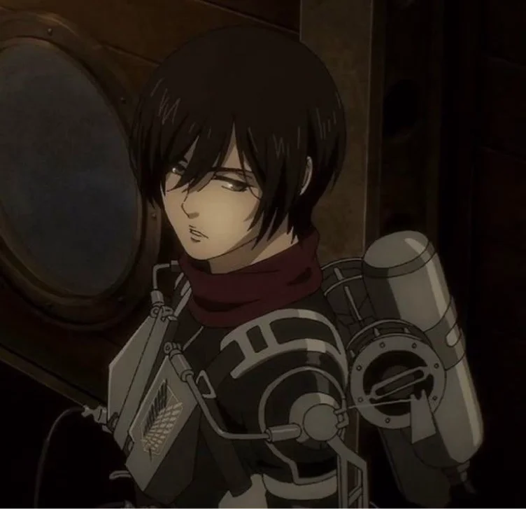 Mikasa aot