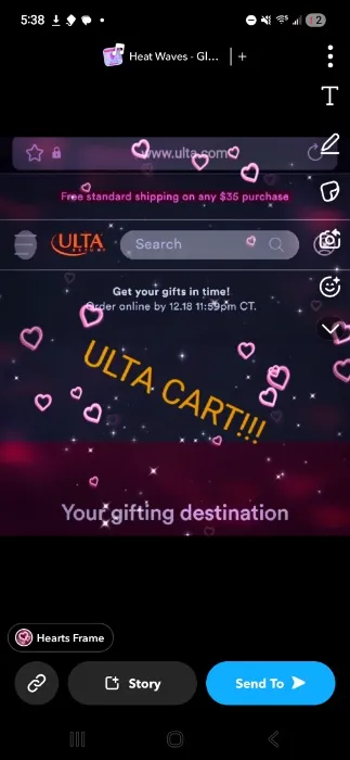 ultimate ulta bag!!!