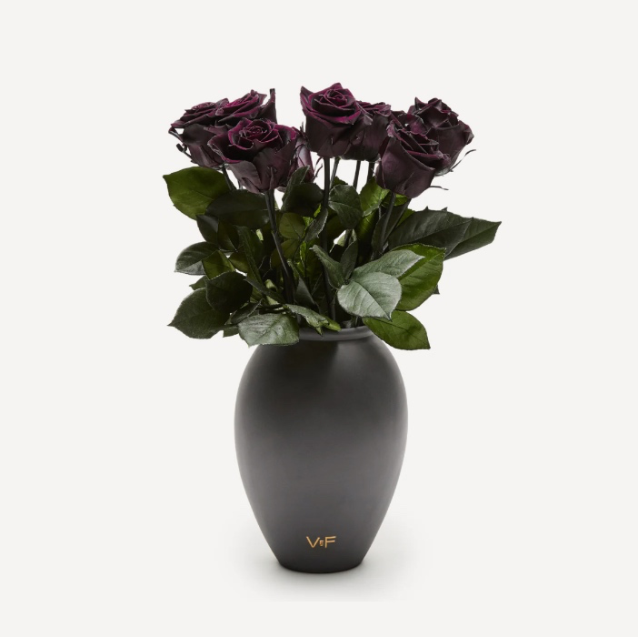 Amphora Porcelain Vase | Black Porcelain & BLACKBERRY