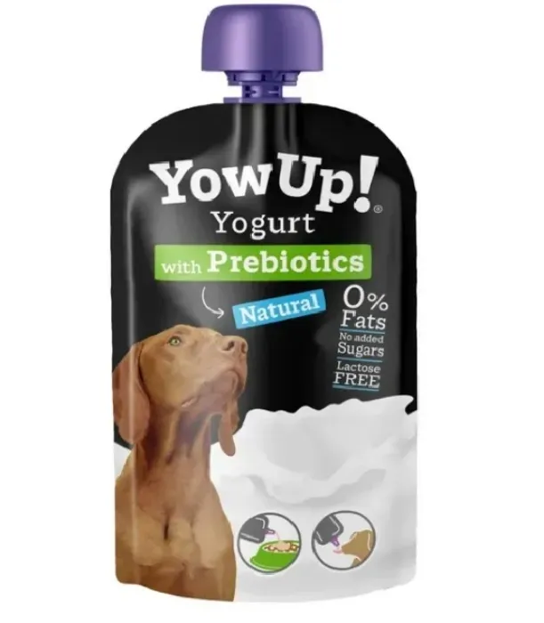 Favorite yogurt [GIFTED]