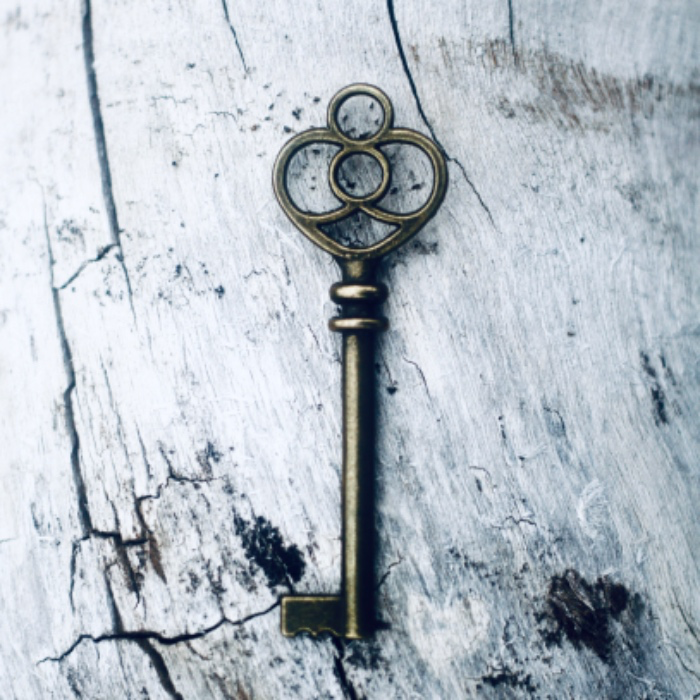 LOCKED – NOVICES