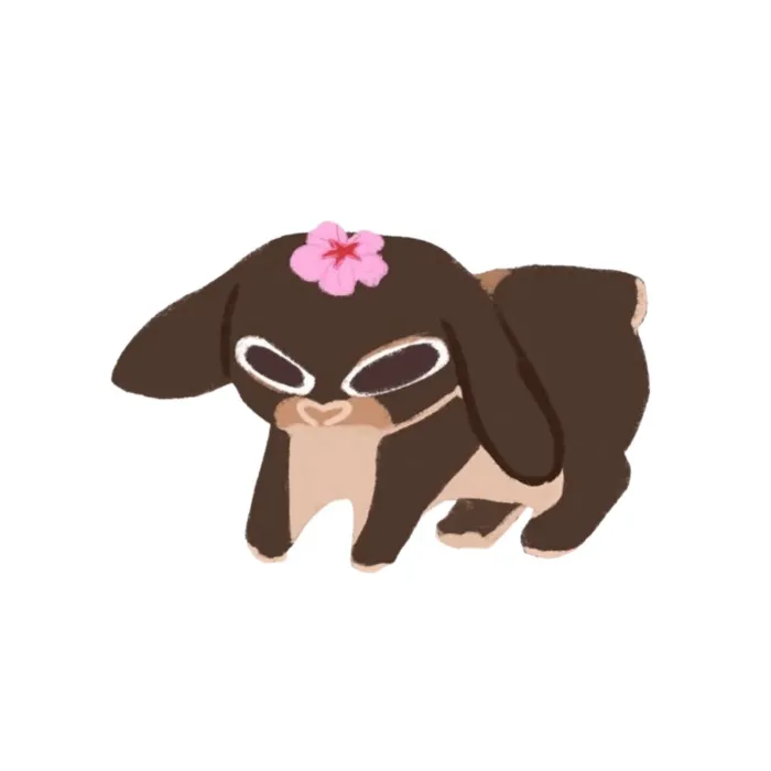 Treats for Haru