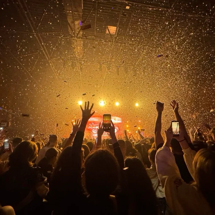 Concert ☆ ♪ °・