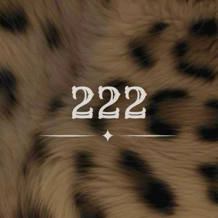 ☆222☆