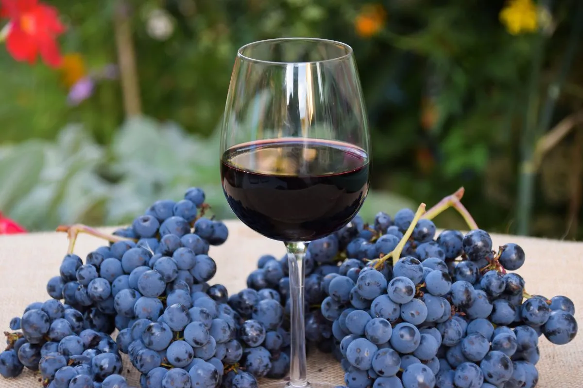 MALBEC MY FAVORITE🍷🍇