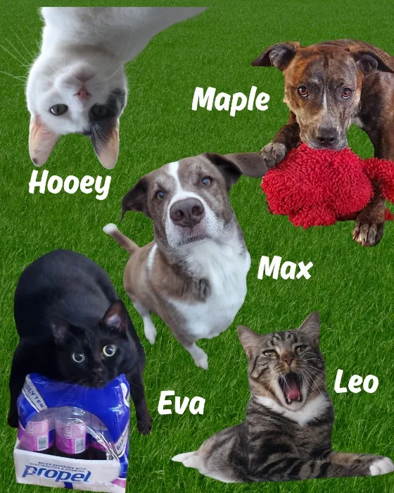 🐾 Happy Pets Fund