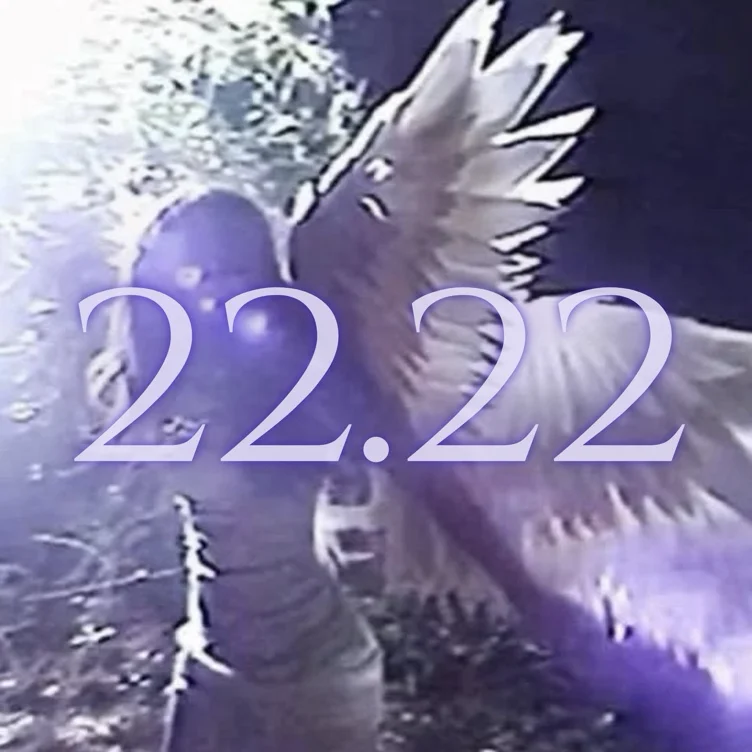 22.22