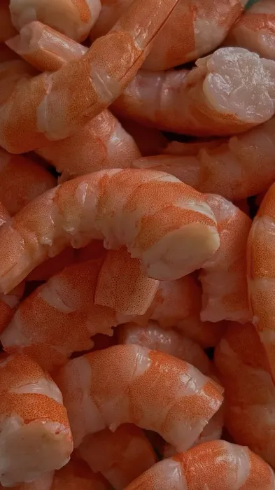 Shrimp 