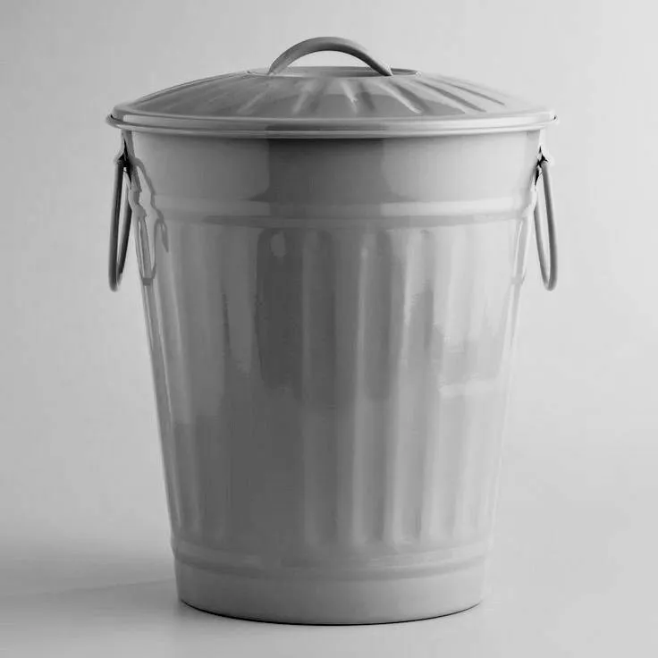 Trash - can 
