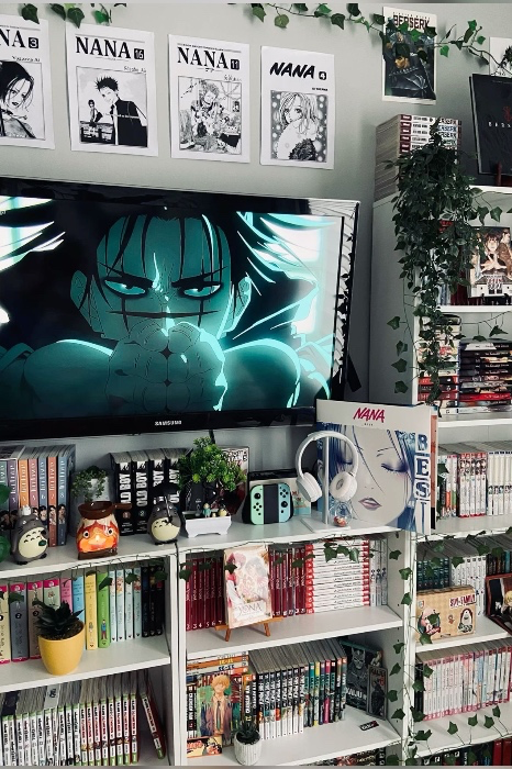 Room decor :3