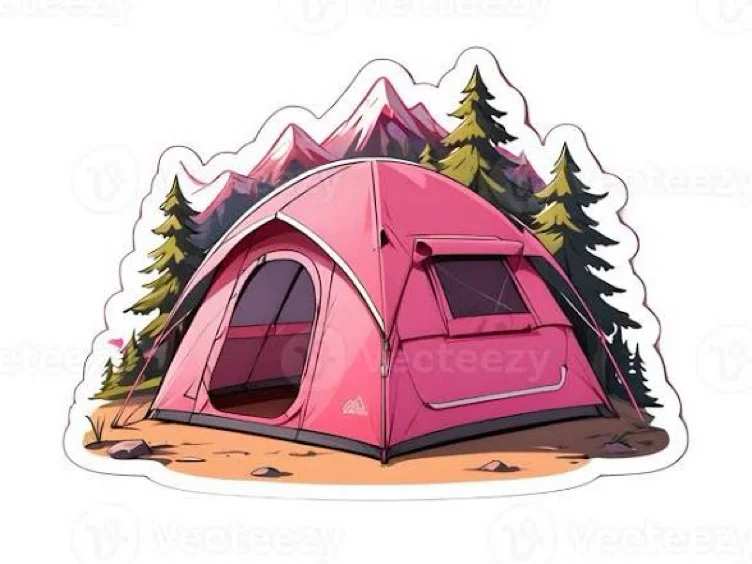 Food & Supplies for weekend camping trip