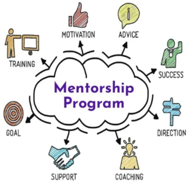 Mentorship Fee