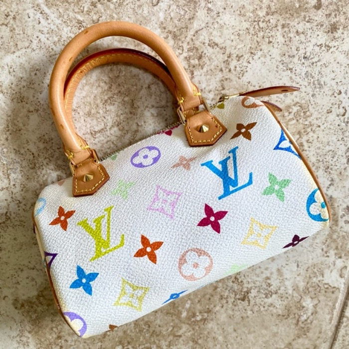LV Bag