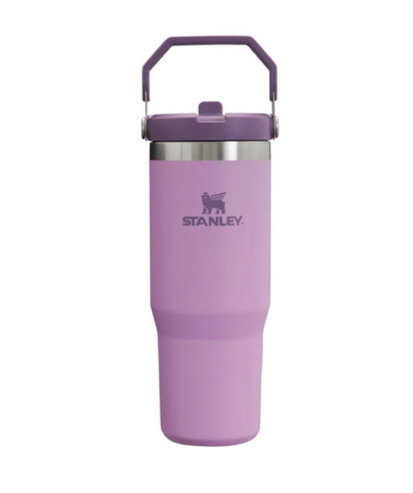 Stanley Flip 💜