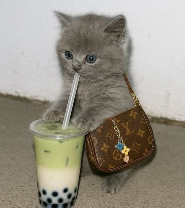 Bubble Tea🧋🖤 