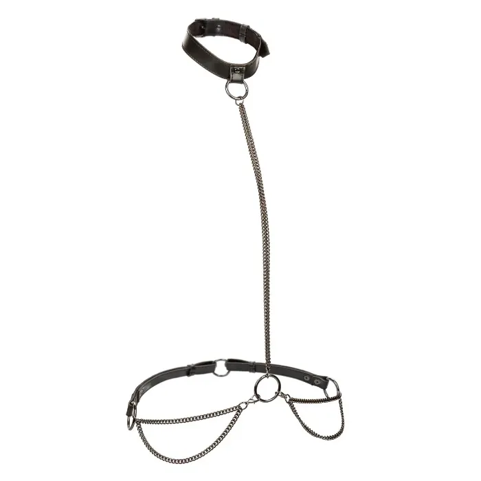 Collection Chain Halter/Collar & Leash - Black