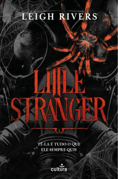 Little Stranger, de Leigh Rivers - Livro
