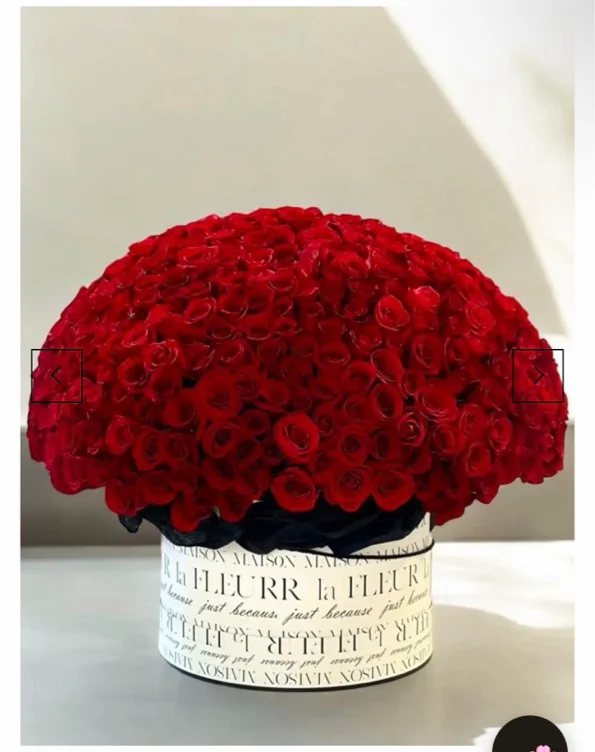 Stay The Night - 500 Premium Long-Stem Roses