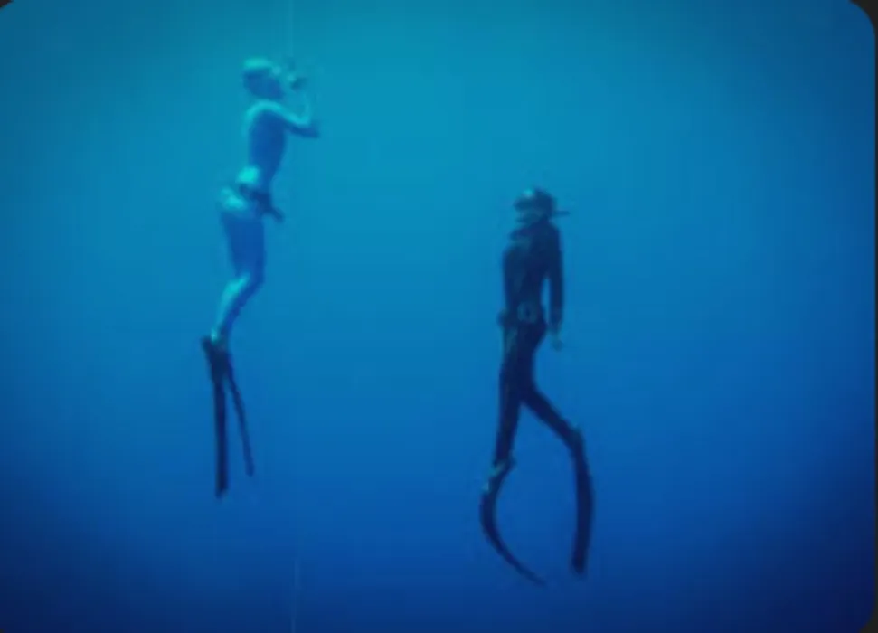 Complete free dive course 