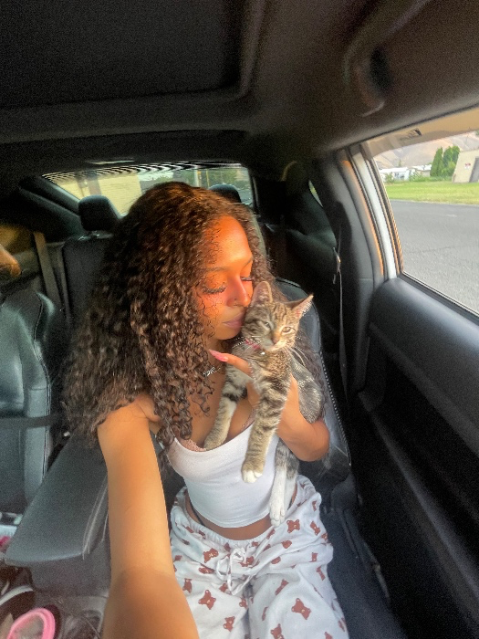 Treats for tha kitty 
