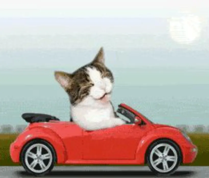 Take me home safely ♡⌂
