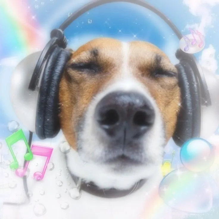 ♬⋆.˚Keep My Music Playing ˚.⋆♬
