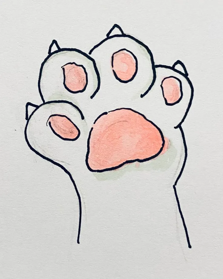 ฅᨐ new claws ᨐฅ