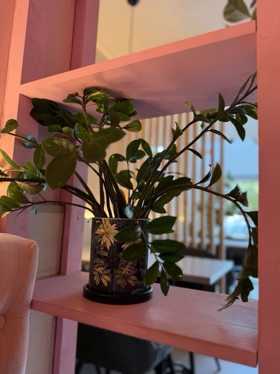 Plant | 150€